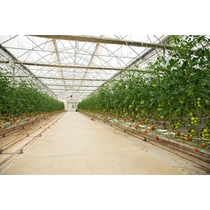 Cara Efektif Mengelola Jaring Waring di Bisnis Hortikultura